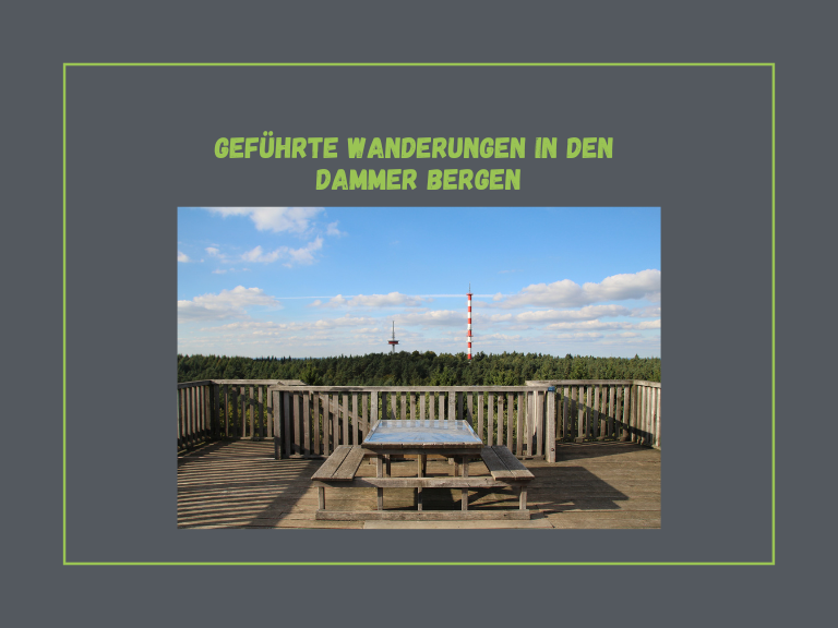 Wanderführer Thomas Fabricius in den Dammer Bergen am Bergsee
